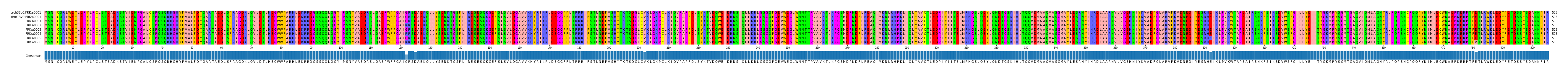 Multiple Alignments (by translate haplotype frequency)