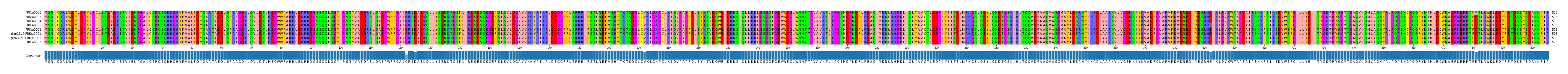 Multiple Alignments (by translate haplotype similarity)