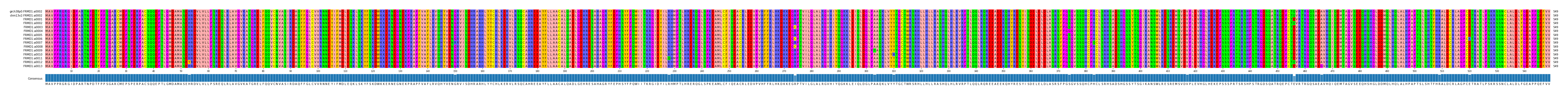 Multiple Alignments (by translate haplotype frequency)