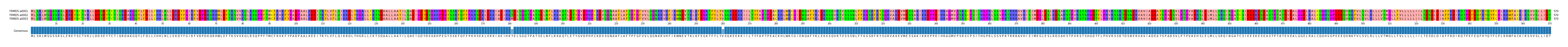 Multiple Alignments (by translate haplotype frequency)