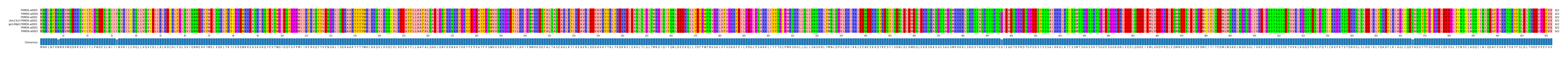 Multiple Alignments (by translate haplotype similarity)
