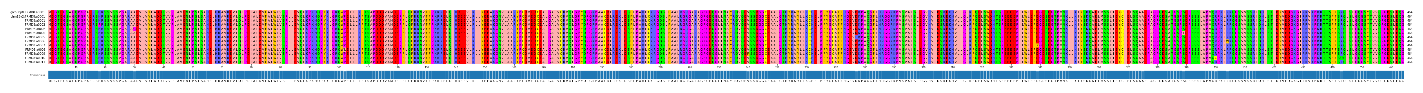 Multiple Alignments (by translate haplotype frequency)