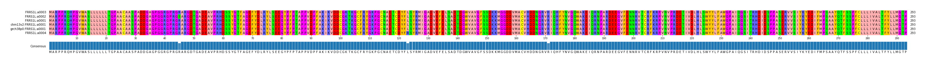 Multiple Alignments (by translate haplotype similarity)