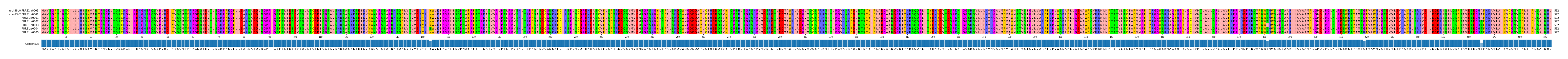 Multiple Alignments (by translate haplotype frequency)