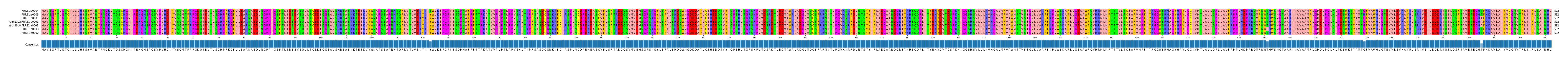 Multiple Alignments (by translate haplotype similarity)