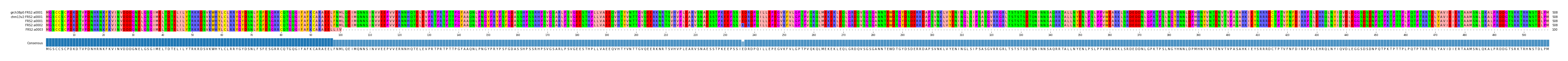 Multiple Alignments (by translate haplotype similarity)