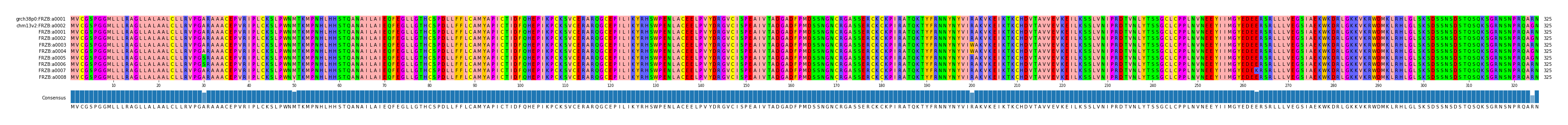 Multiple Alignments (by translate haplotype frequency)