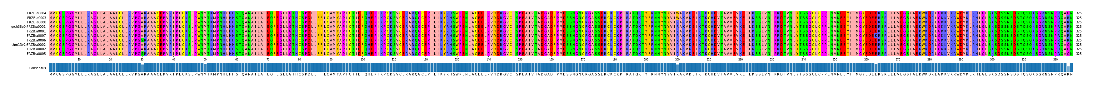 Multiple Alignments (by translate haplotype similarity)