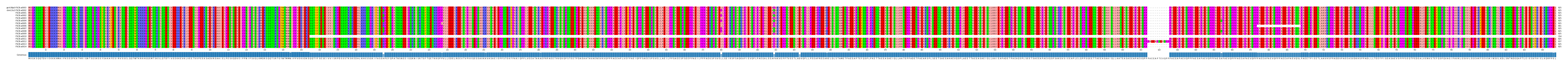 Multiple Alignments (by translate haplotype frequency)