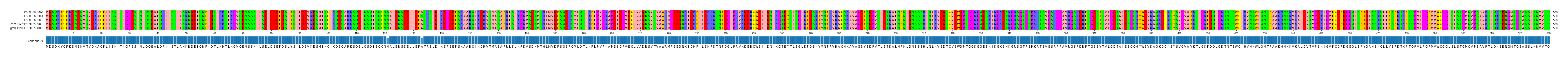 Multiple Alignments (by translate haplotype similarity)