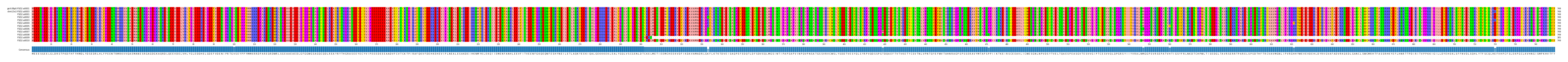Multiple Alignments (by translate haplotype frequency)