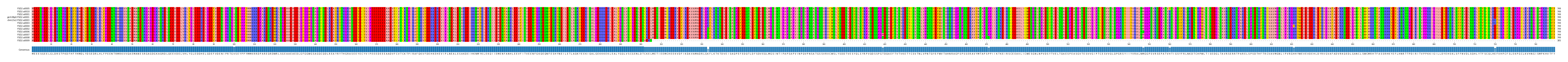 Multiple Alignments (by translate haplotype similarity)