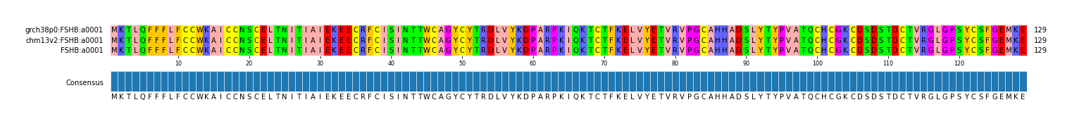 Multiple Alignments (by translate haplotype similarity)