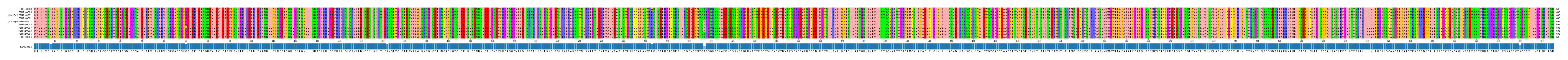 Multiple Alignments (by translate haplotype similarity)