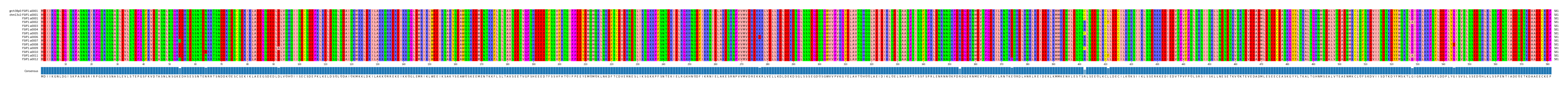 Multiple Alignments (by translate haplotype frequency)