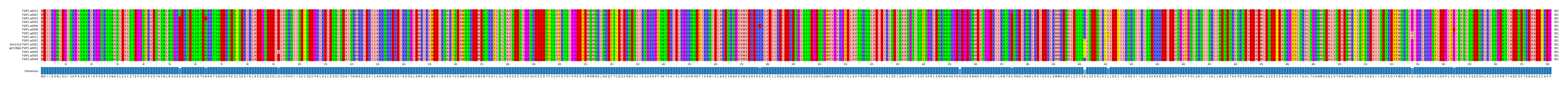 Multiple Alignments (by translate haplotype similarity)