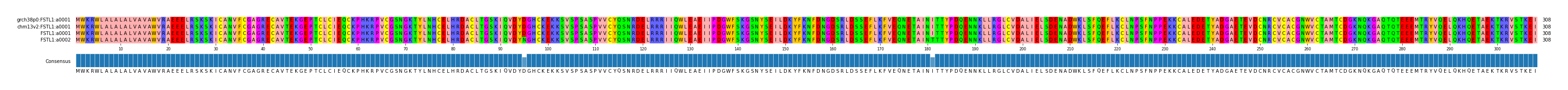 Multiple Alignments (by translate haplotype similarity)