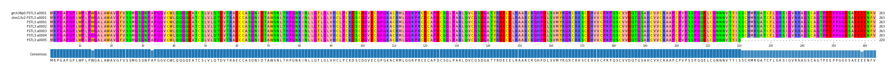 Multiple Alignments (by translate haplotype frequency)