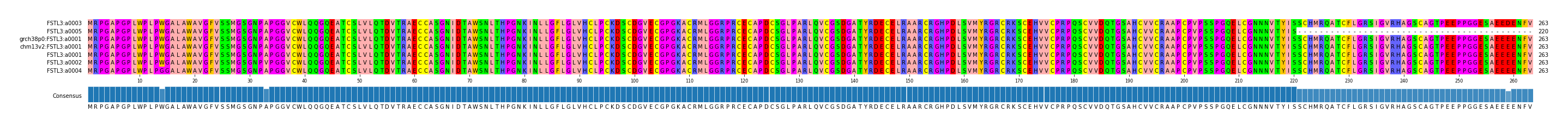 Multiple Alignments (by translate haplotype similarity)