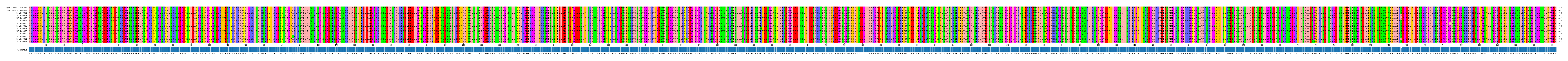 Multiple Alignments (by translate haplotype frequency)