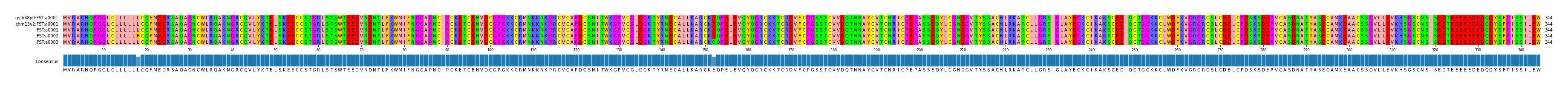 Multiple Alignments (by translate haplotype frequency)