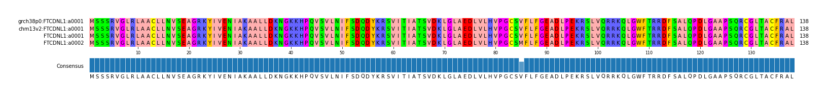 Multiple Alignments (by translate haplotype similarity)
