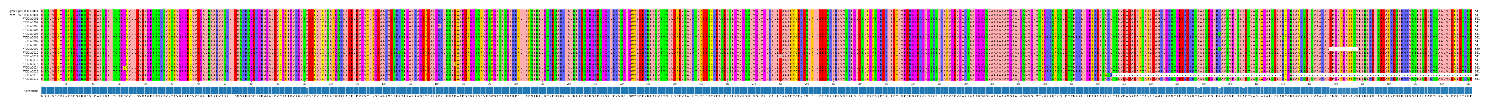 Multiple Alignments (by translate haplotype frequency)