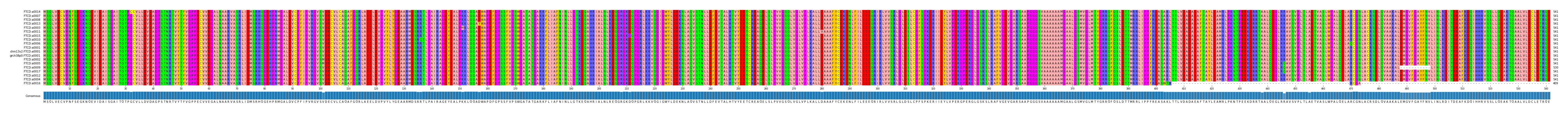 Multiple Alignments (by translate haplotype similarity)