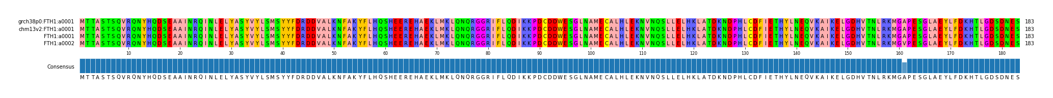Multiple Alignments (by translate haplotype similarity)