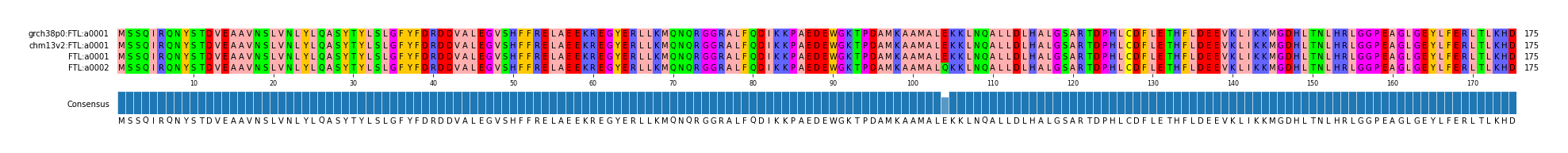 Multiple Alignments (by translate haplotype similarity)