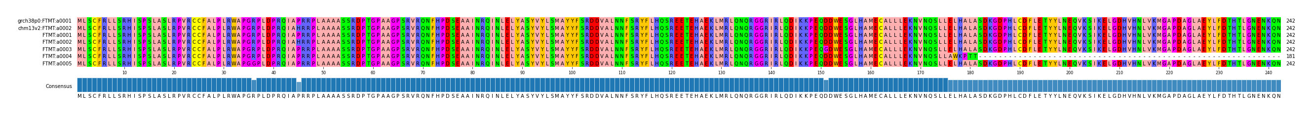 Multiple Alignments (by translate haplotype frequency)
