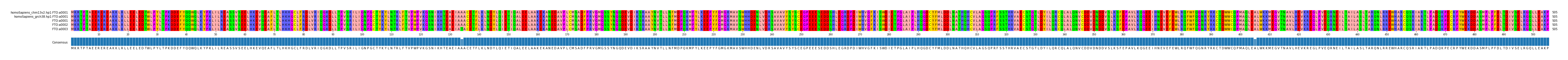 Multiple Alignments (by translate haplotype frequency)
