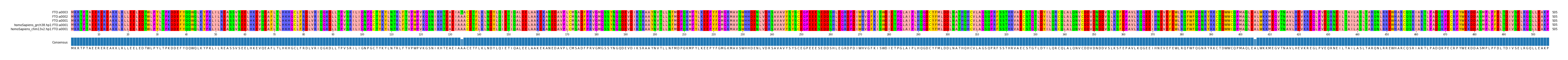 Multiple Alignments (by translate haplotype similarity)