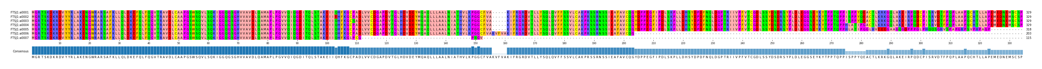 Multiple Alignments (by translate haplotype frequency)