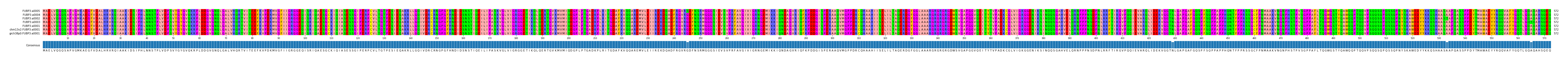 Multiple Alignments (by translate haplotype similarity)
