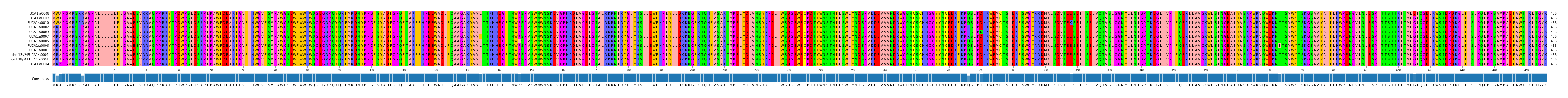 Multiple Alignments (by translate haplotype similarity)