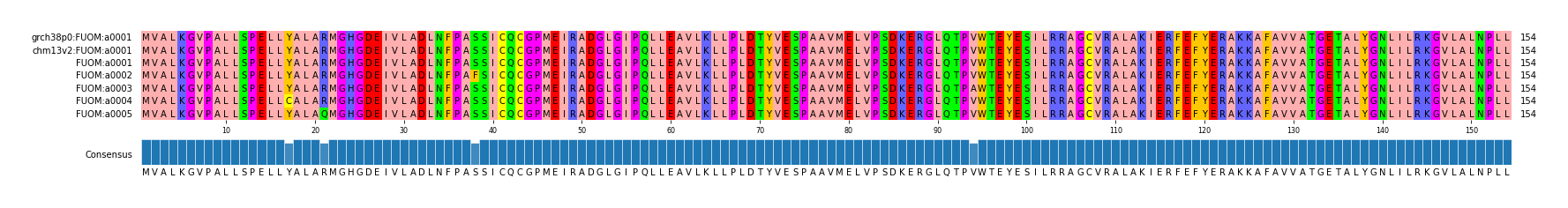 Multiple Alignments (by translate haplotype frequency)