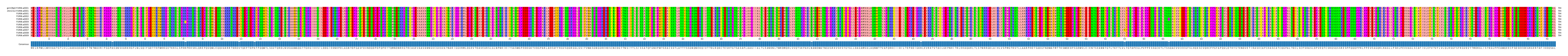 Multiple Alignments (by translate haplotype frequency)