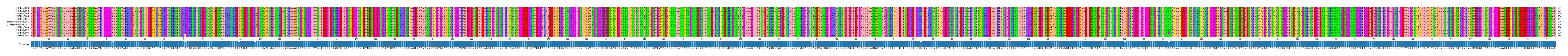 Multiple Alignments (by translate haplotype similarity)