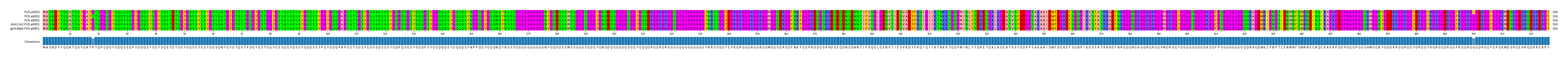Multiple Alignments (by translate haplotype similarity)