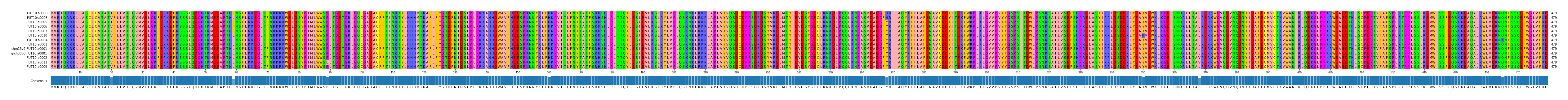 Multiple Alignments (by translate haplotype similarity)