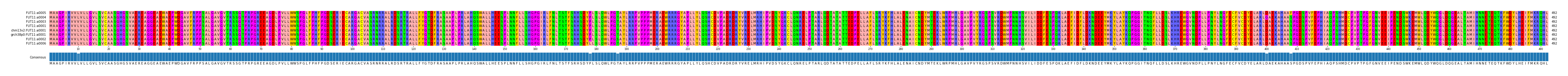 Multiple Alignments (by translate haplotype similarity)