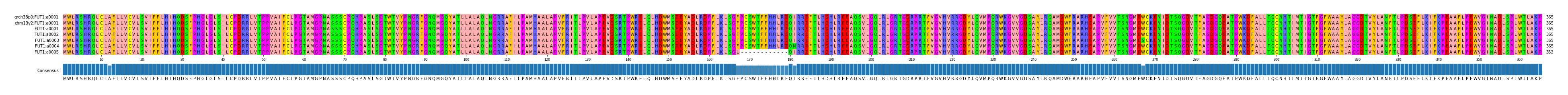 Multiple Alignments (by translate haplotype frequency)