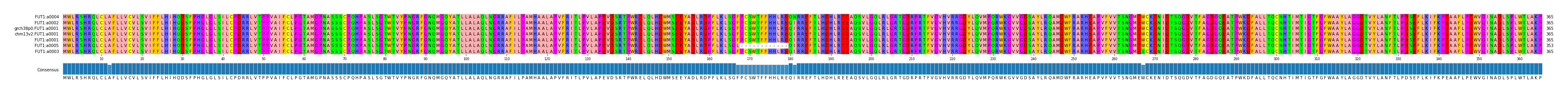 Multiple Alignments (by translate haplotype similarity)