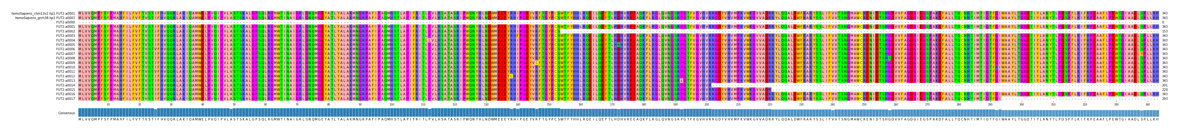Multiple Alignments (by translate haplotype frequency)