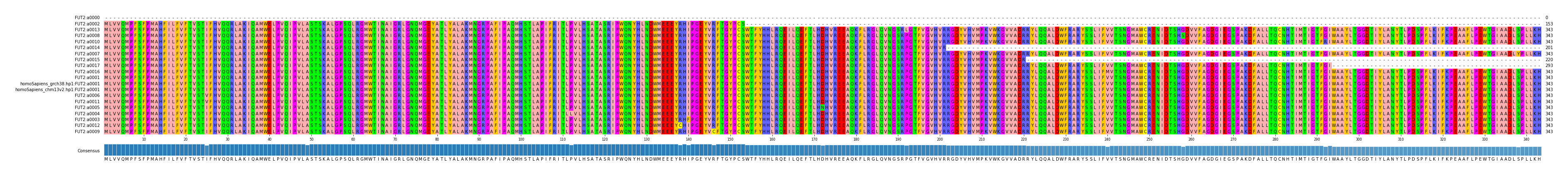 Multiple Alignments (by translate haplotype similarity)