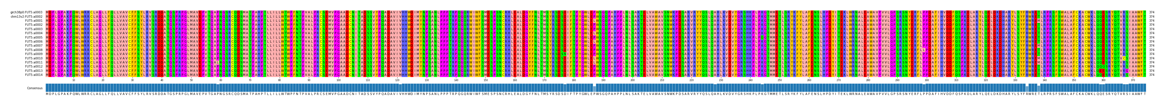 Multiple Alignments (by translate haplotype frequency)