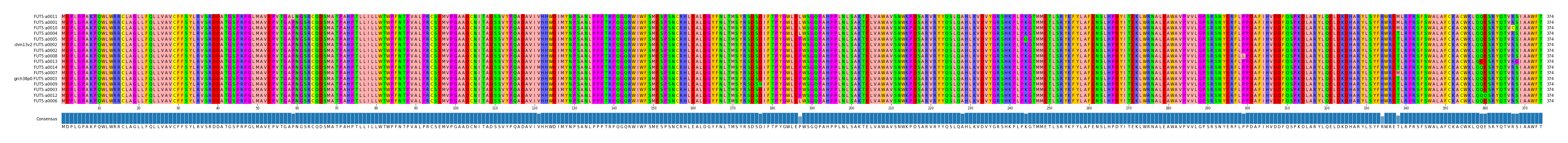 Multiple Alignments (by translate haplotype similarity)