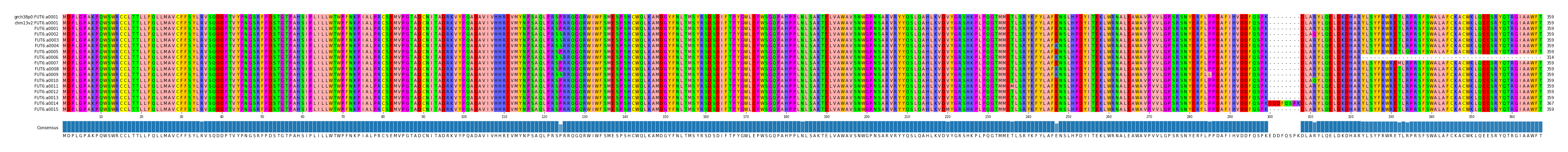Multiple Alignments (by translate haplotype frequency)