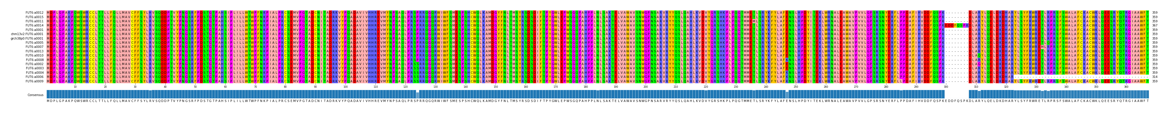 Multiple Alignments (by translate haplotype similarity)